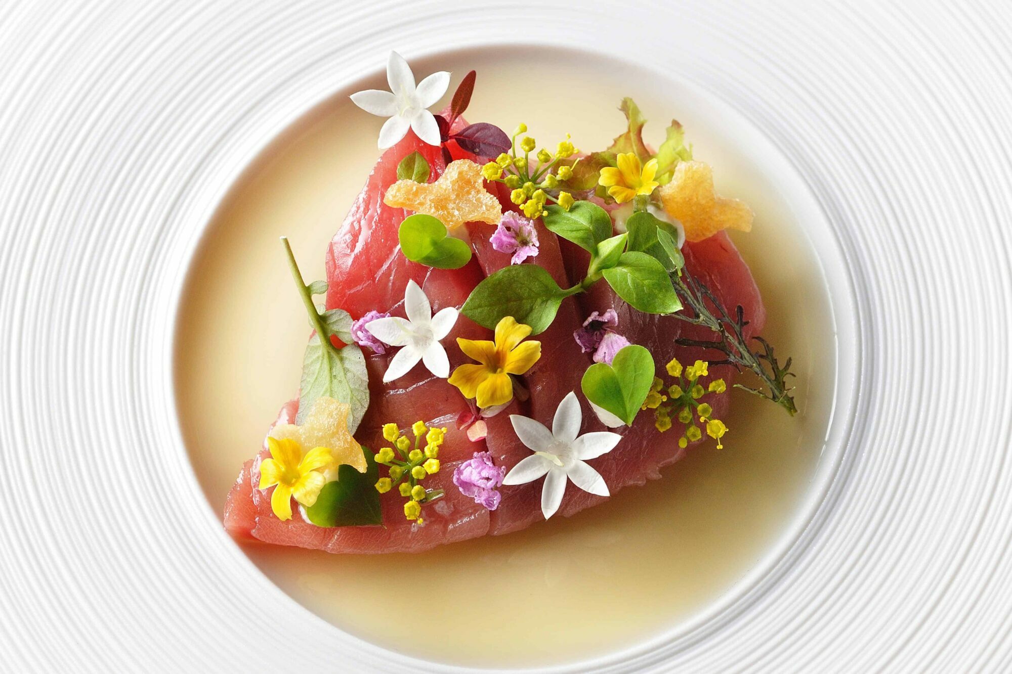 Tuna eggplant - Sonore