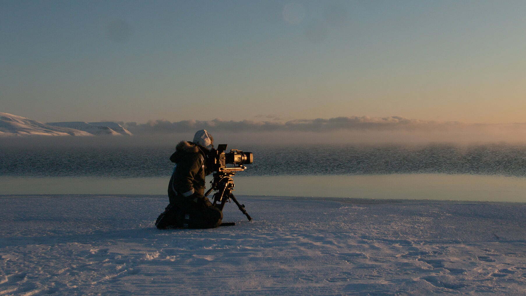 Torgeir Beck Lande filming polar bears in Svalbard. 