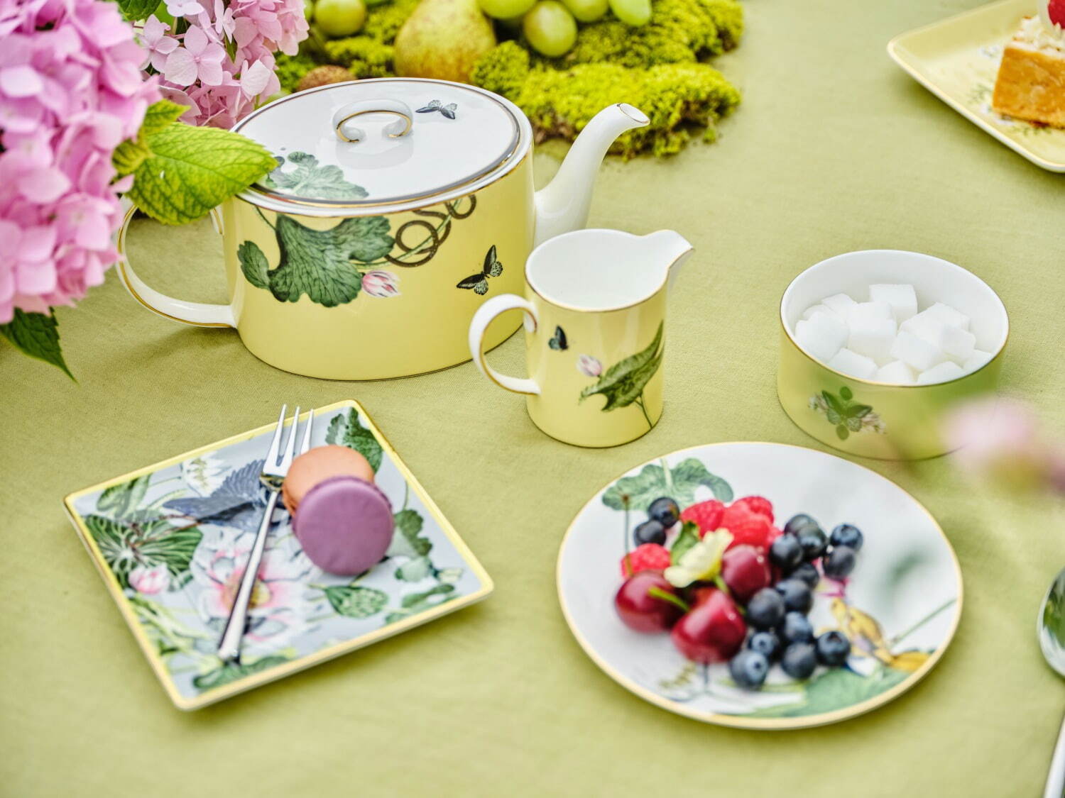 Wedgwood new collection ‘Wonderlust’