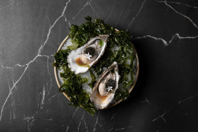 CÉ LA VI Irish Premium Oyster