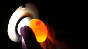 Magic Of Disney’s Animal Kingdom Season 2 showcases not only the