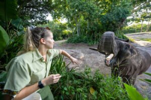 Magic Of Disney’s Animal Kingdom Season 2 showcases not only the