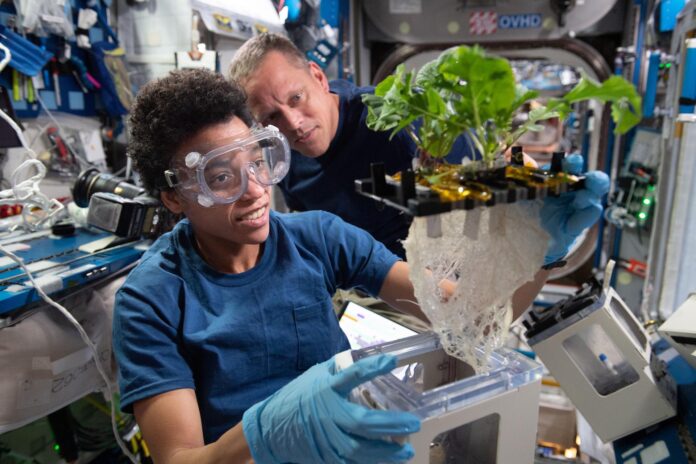 In this image from June 24, 2022, NASA astronauts Jessica Watkins and Bob Hines, part of NASA’s SpaceX Crew-4, work on the XROOTS space botany investigation, which used the International Space Station’s (ISS) Veggie facility to test soilless methods to grow plants. The space agricultural study could enable production of crops on a larger scale to sustain crews on future space explorations farther away from Earth and could enhance cultivation of plants in terrestrial settings such as greenhouses, contributing to better food security for people on Earth.