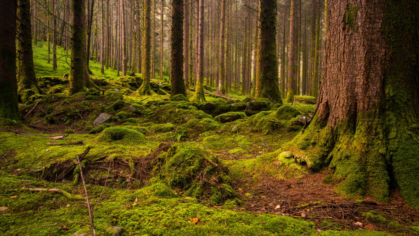 Gougane Barra National Forest Park in County Cork