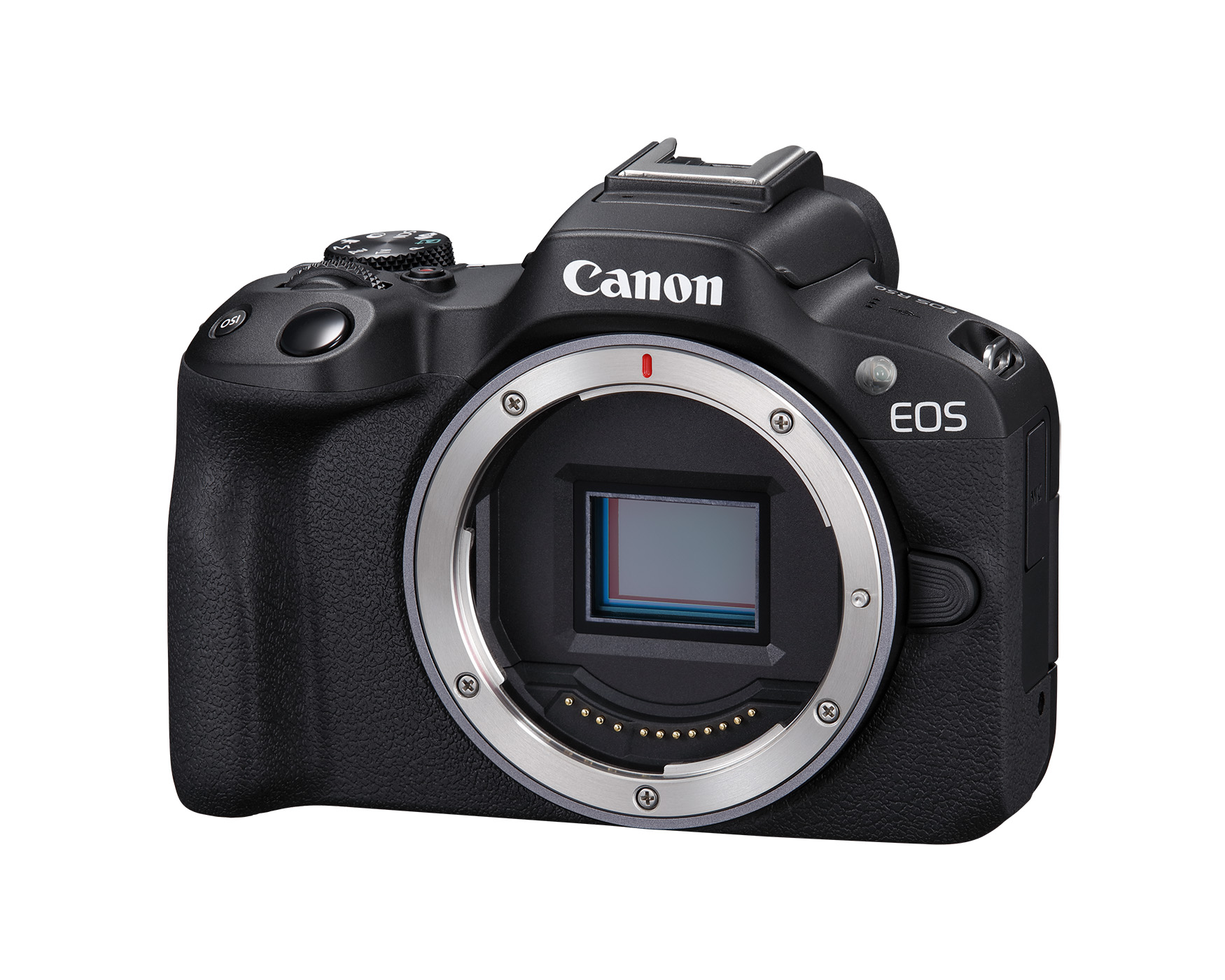 Canon Black EOS R50