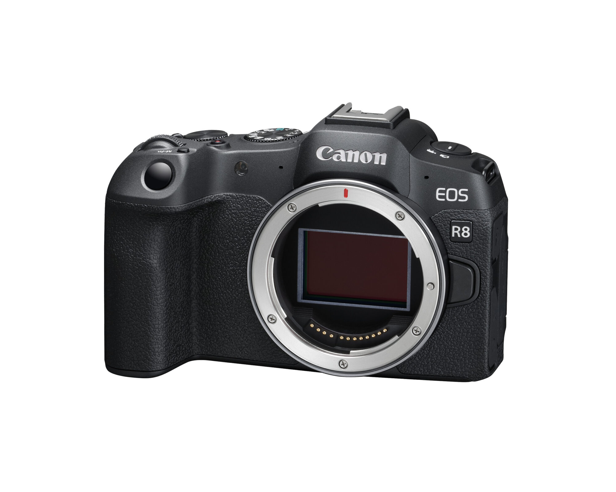 Canon EOS R8 Camera