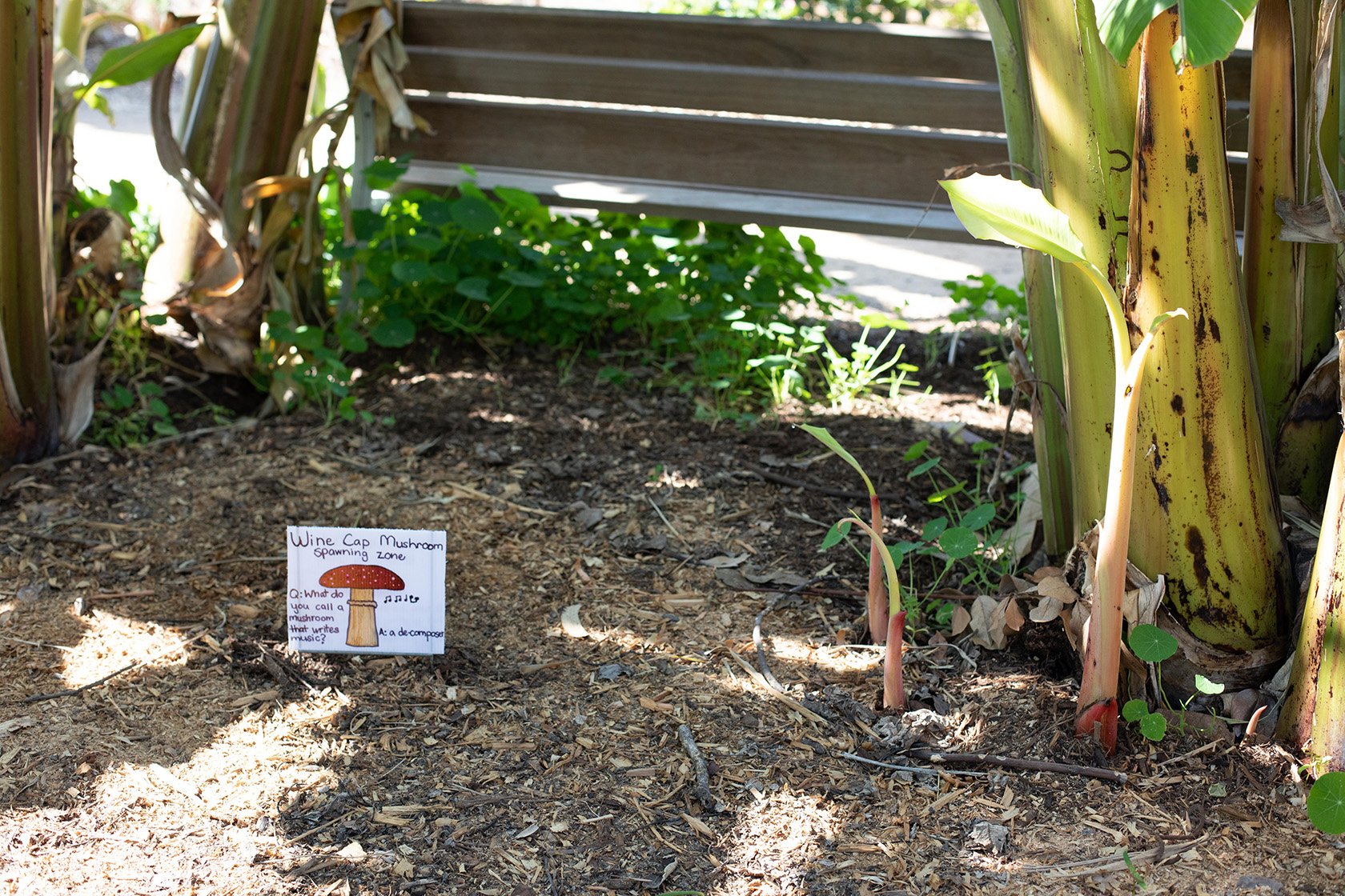 Farm + Food Lab in Irvine's Great Park (Photo by Julie Nguyen)