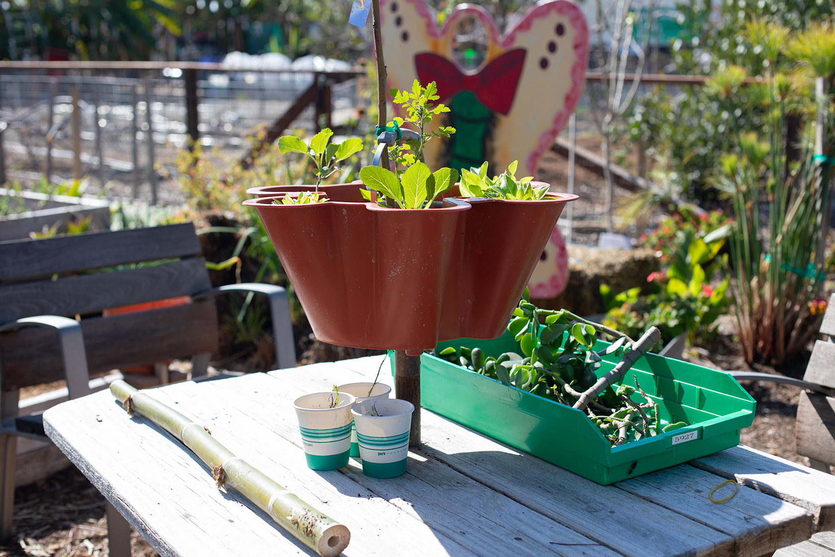 Farm + Food Lab in Irvine's Great Park (Photo by Julie Nguyen)