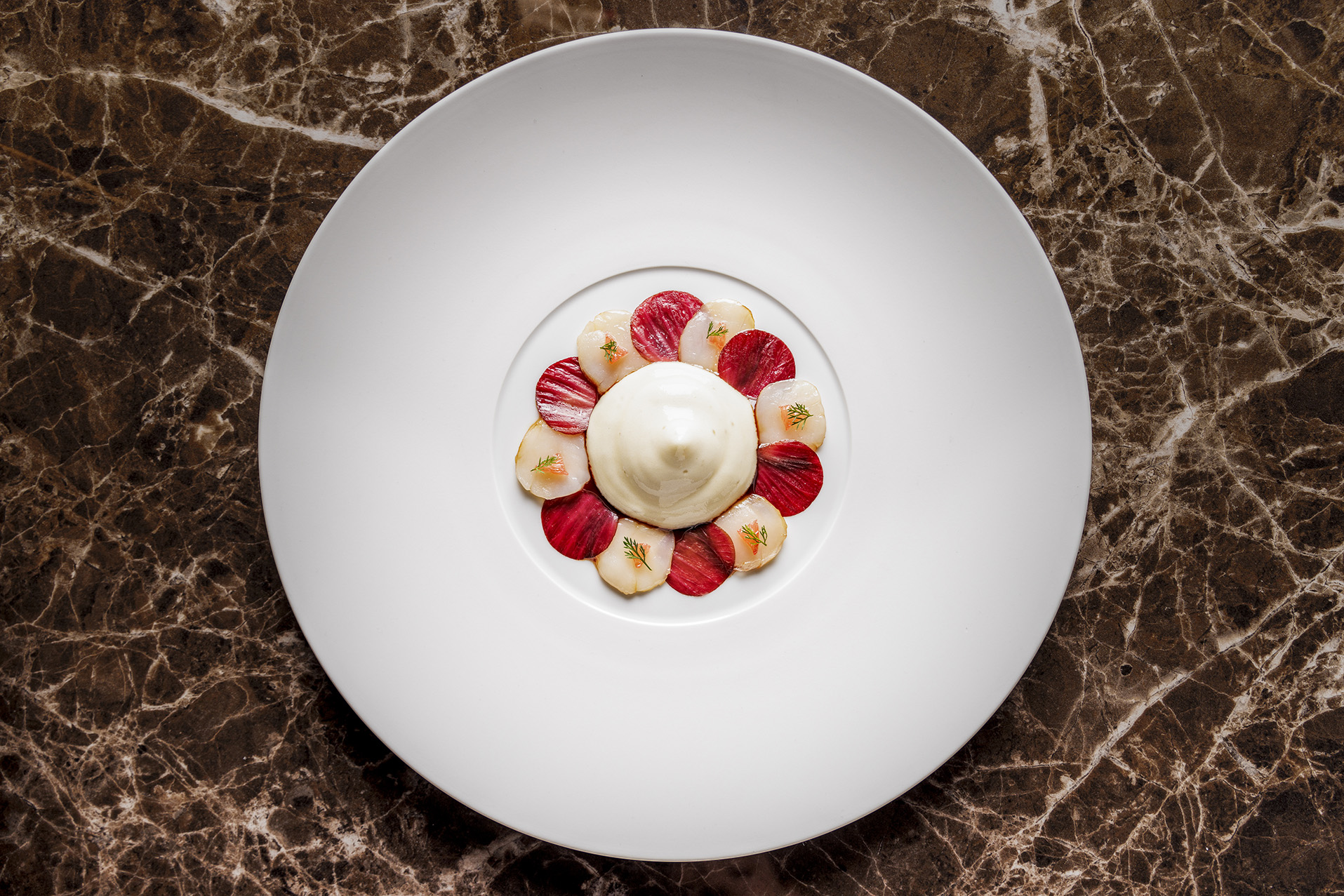 Ineo Restaurant Sea Scallop Carpaccio Gorizia Rose Radicchio Foam