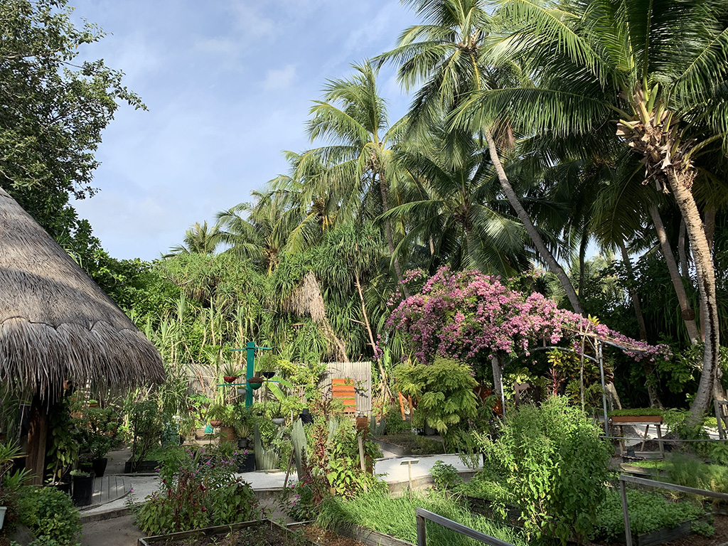 Anantara Kihavah Maldives Villas - Organic Garden