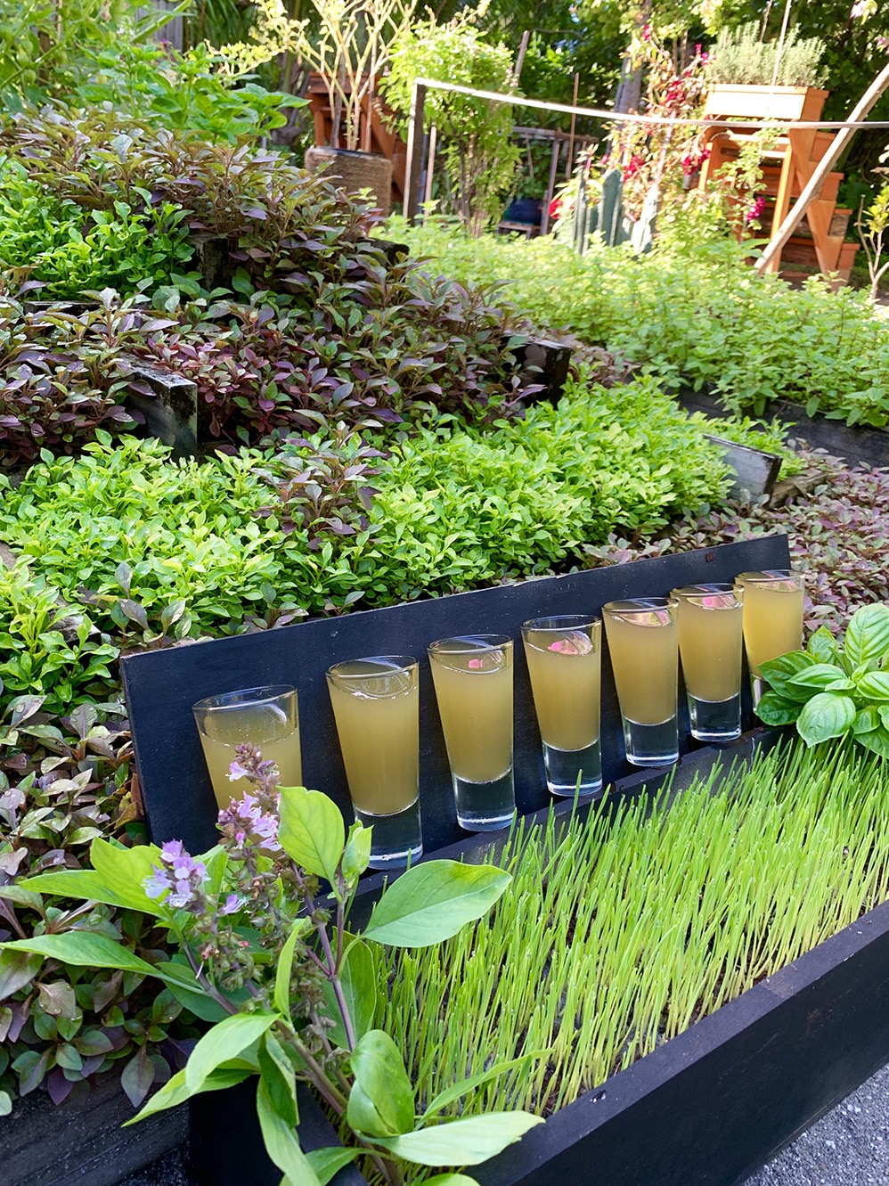 Anantara Kihavah Maldives Villas - Sugarcane Juice