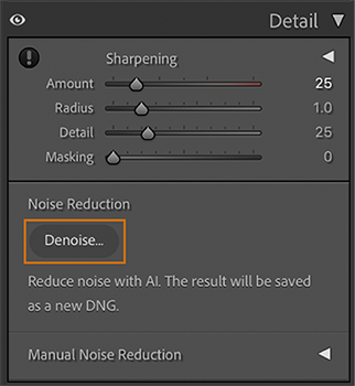 Lightroom Denoise