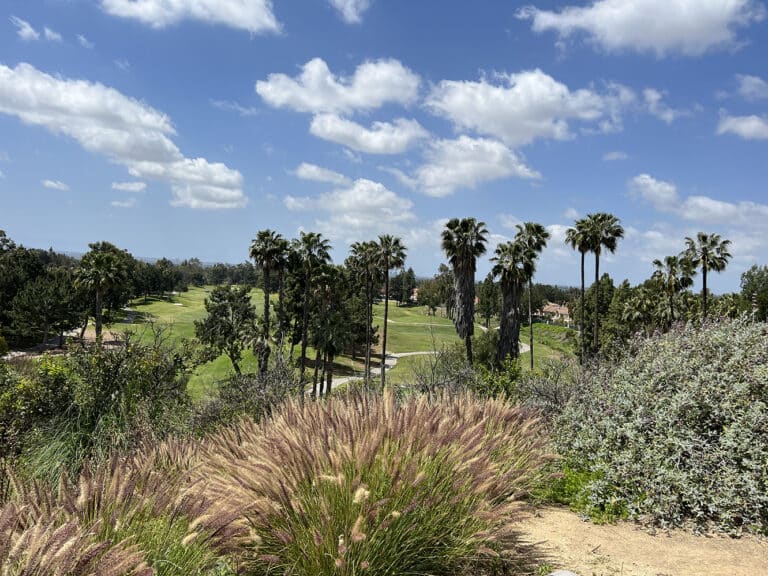 Citrus Ranch Park: A Historical and Scenic Destination in Tustin | SNAP ...