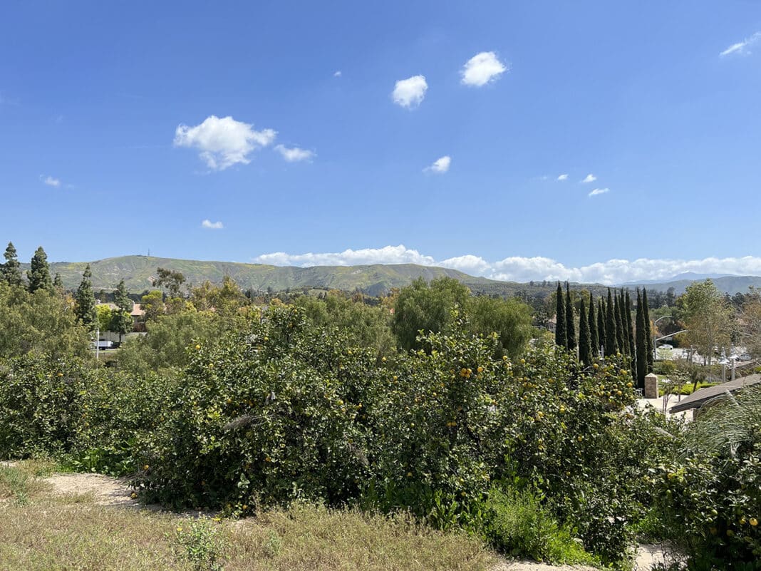 SNAP TASTE | Citrus Ranch Park: A Historical and Scenic Destination in ...