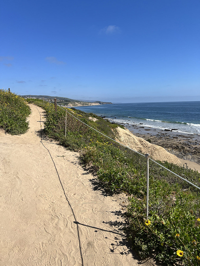 Crystal Cove State Park in Newport Beach, California (Photo by Julie Nguyen)