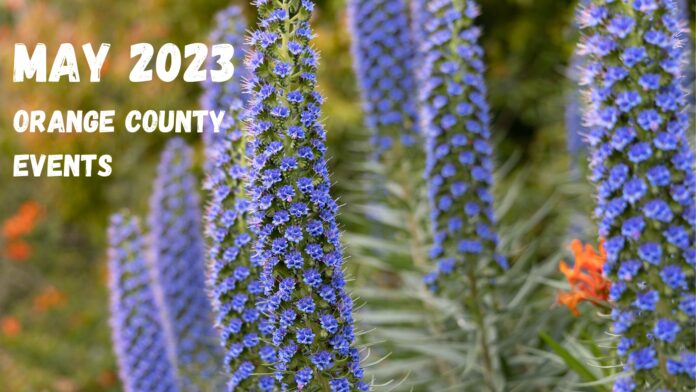 Arts, Cars, and Strawberries: A Guide to Orange County's Must-See Festivals for May