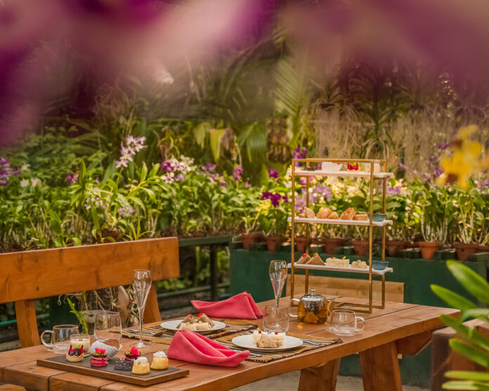 Maldivian Afternoon Tea at Nala Orchid Garden - Anantara Kihavah Maldives Villas