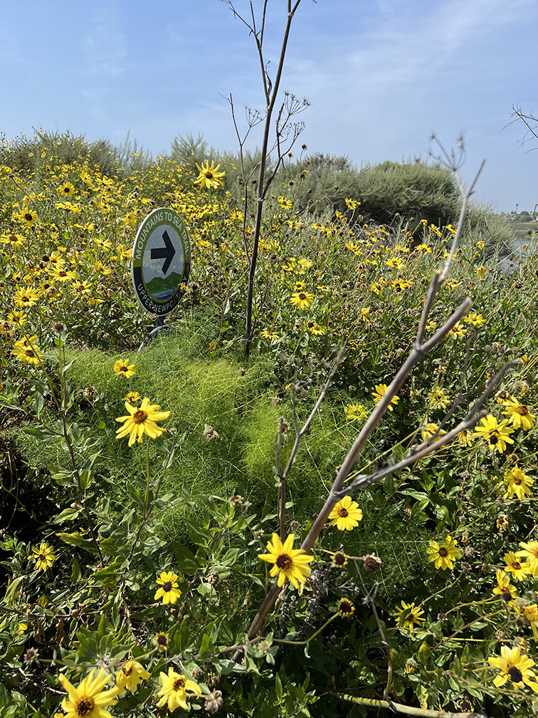 Mountains to Sea Trail & Bikeway in Newport Beach, California (Photo by Julie Nguyen)