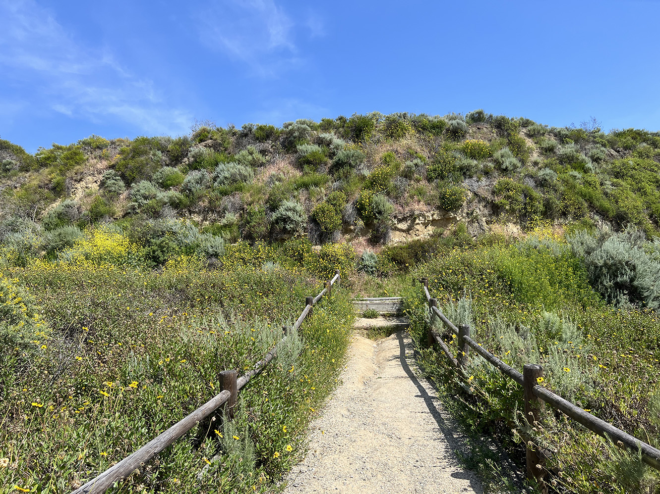 Mountains to Sea Trail & Bikeway in Newport Beach, California (Photo by Julie Nguyen)