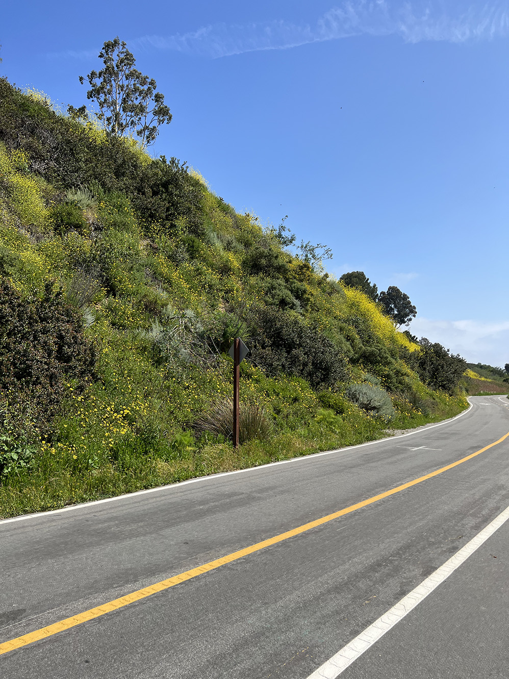 Mountains to Sea Trail & Bikeway in Newport Beach, California (Photo by Julie Nguyen)