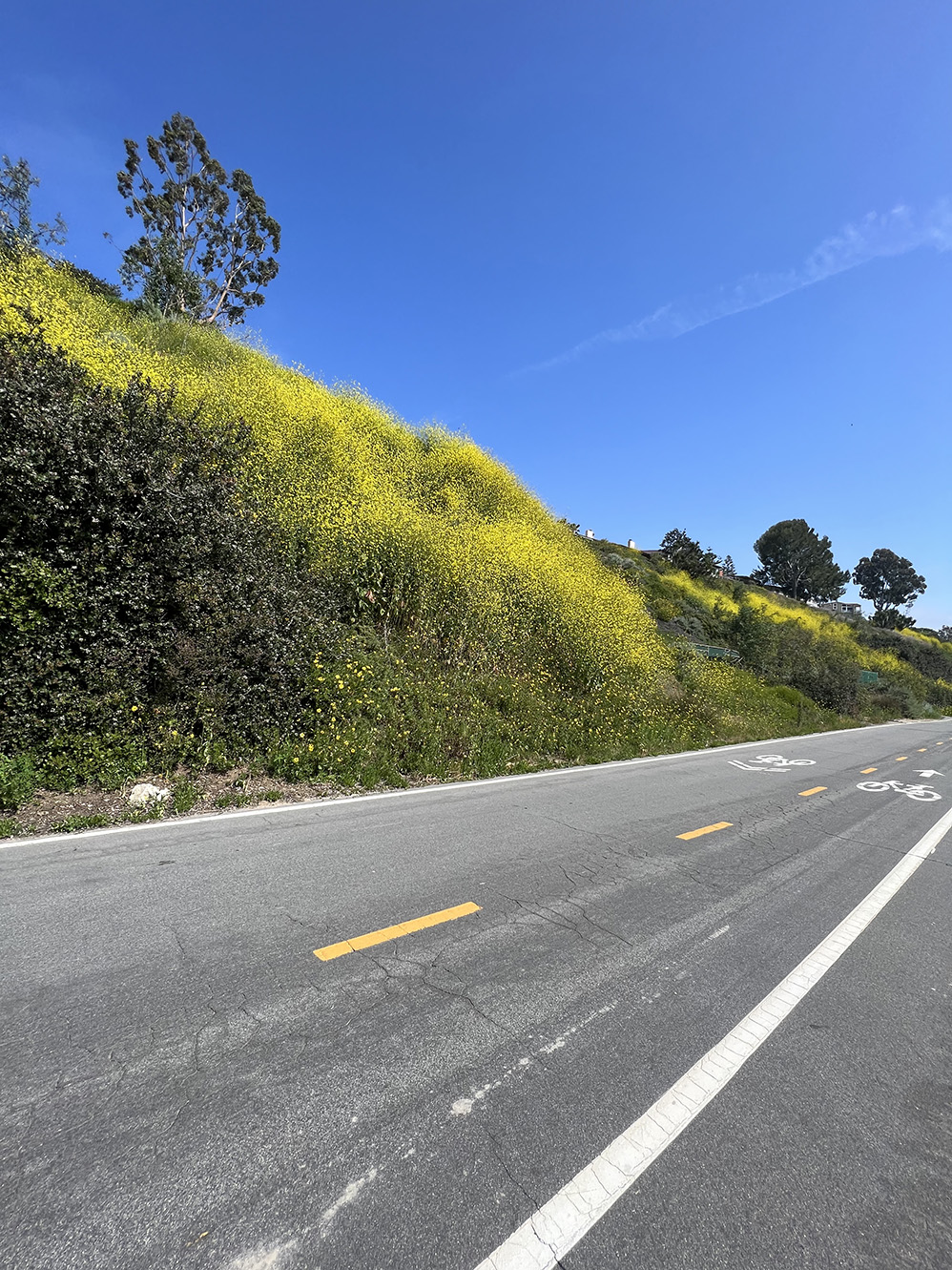 Mountains to Sea Trail & Bikeway in Newport Beach, California (Photo by Julie Nguyen)