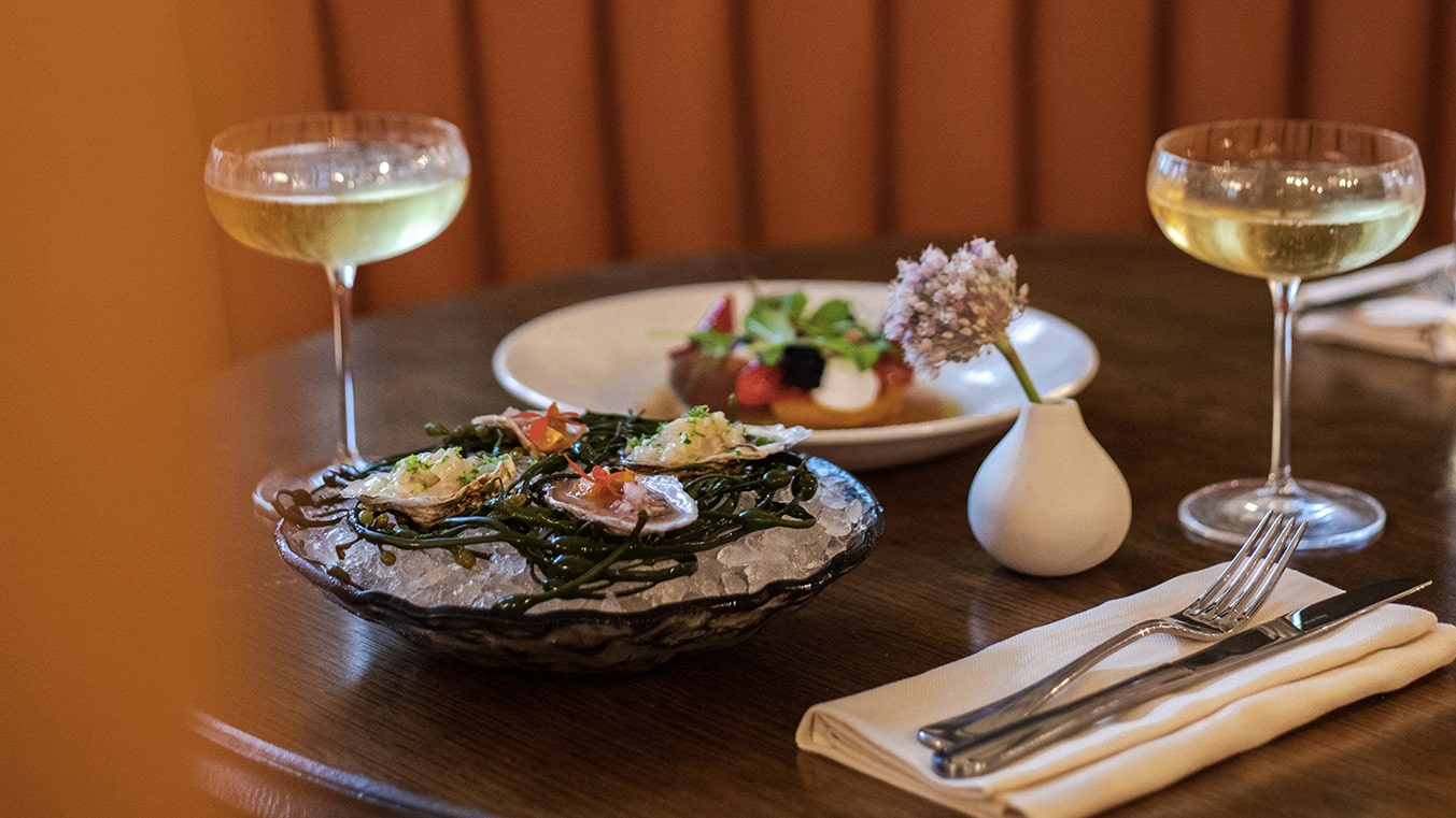 Unveiling the Edge of Destruction: Uncovering the Turbulent Relationship Between Elizabeth Rancourt and Miguel