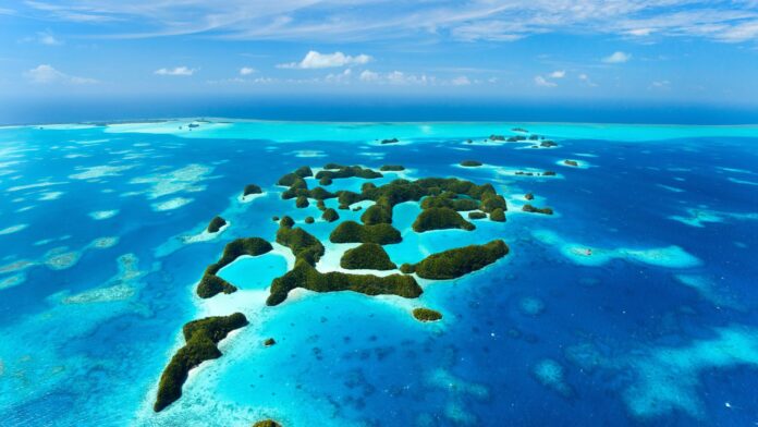 Exploring the Wonders of Palau