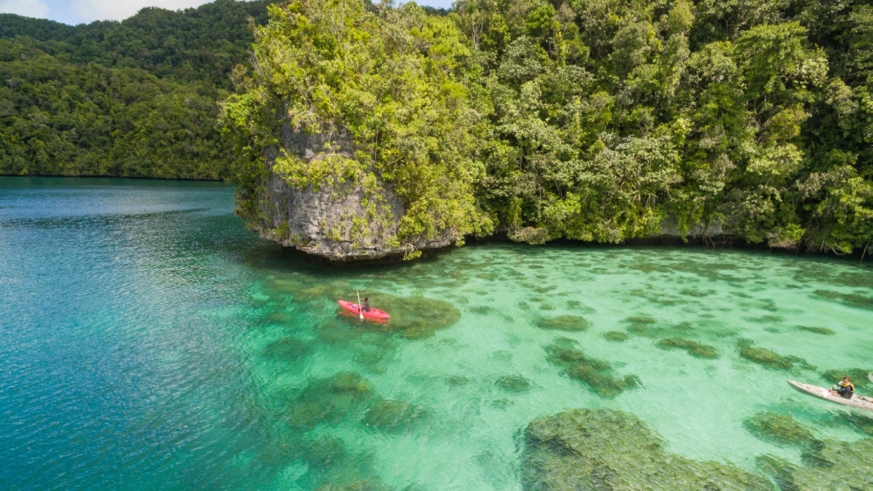 Discover Palau's Untouched Beauty with Four Seasons Explorer