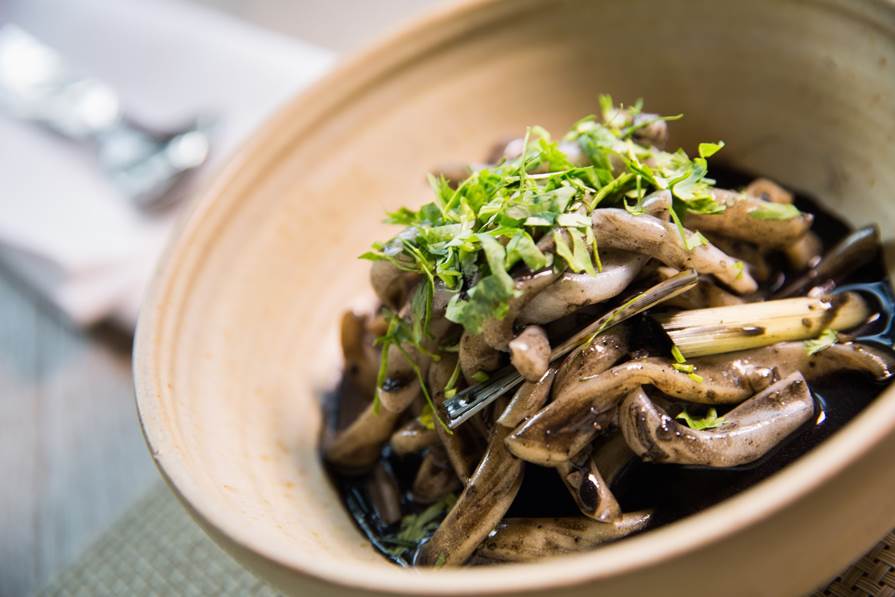 Trisara Masters the Art of the Squid Game