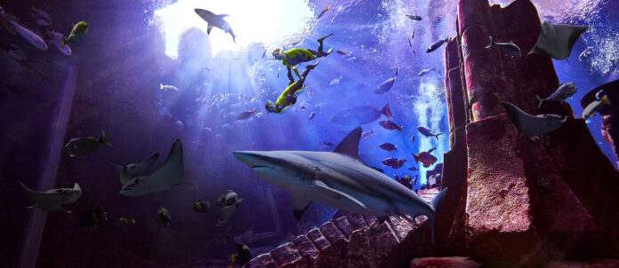 Atlantis Dubai - Shark Week