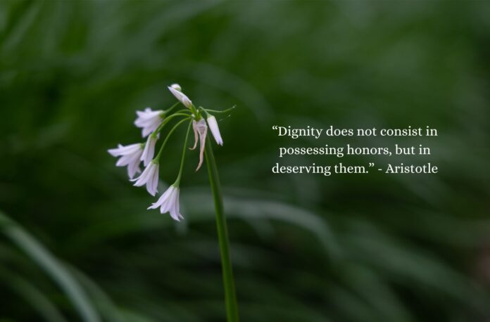 “Dignity does not consist in possessing honors, but in deserving them.” - Aristotle (Photo by Julie Nguyen)