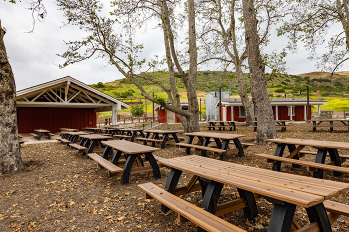 Bommer Canyon Cattle Camp in Irvine, California