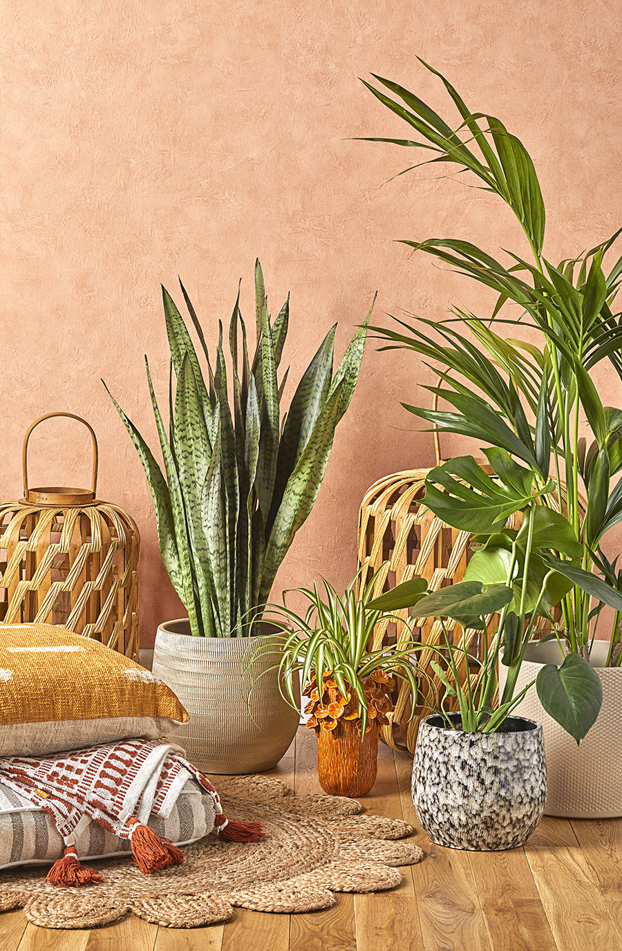 Sanseveria Trifasciata Mix 17cm, Chlorophytum Variegatum 12cm, Monstera deliciosa 17cm Air Purifier, Kentia Palm 21cm, Wooden Lantern Xlarge, Wooden Lantern Small, Yellow Cushion, Ganado Throw, Stripe Floor Cushion Taupe