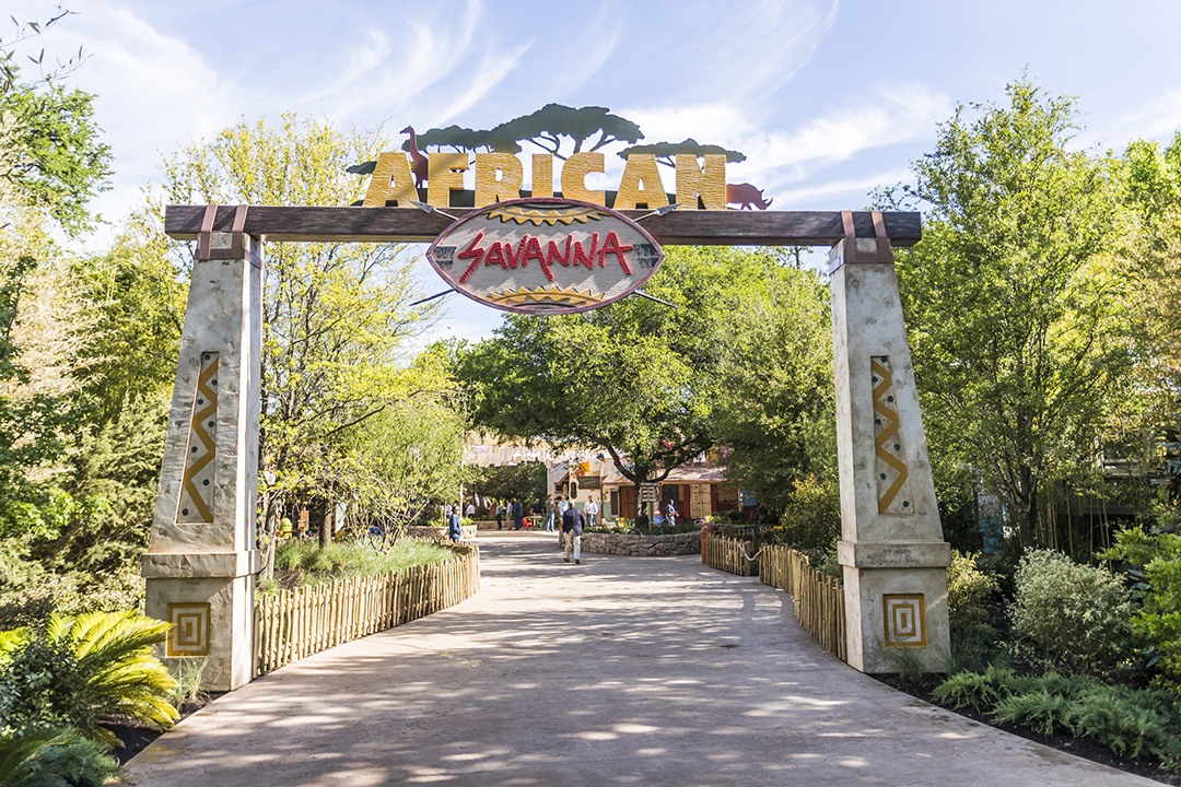 Fort Worth Zoo African Savanna