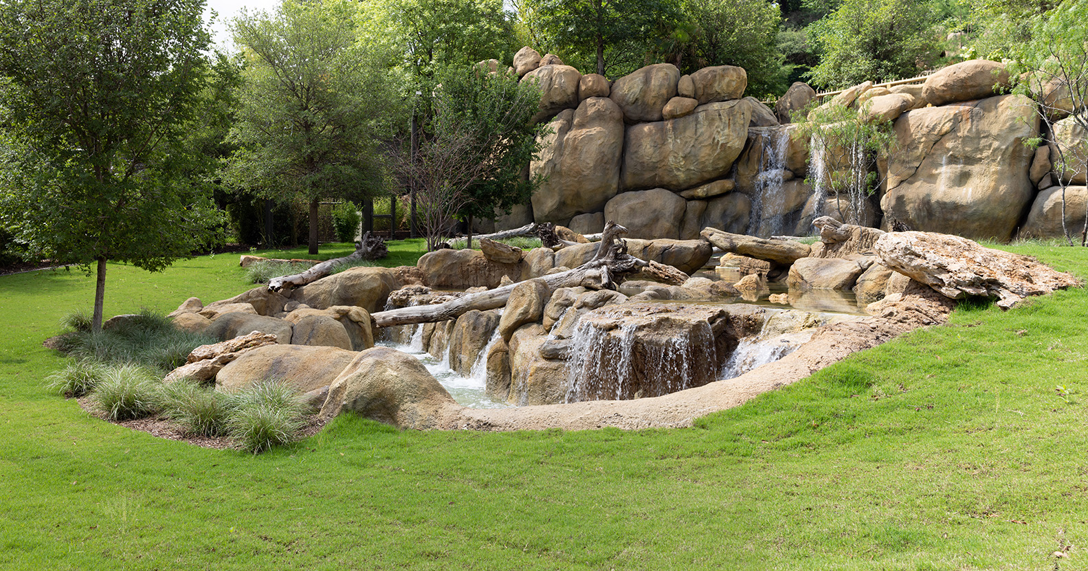 Fort Worth Zoo New lion habitat