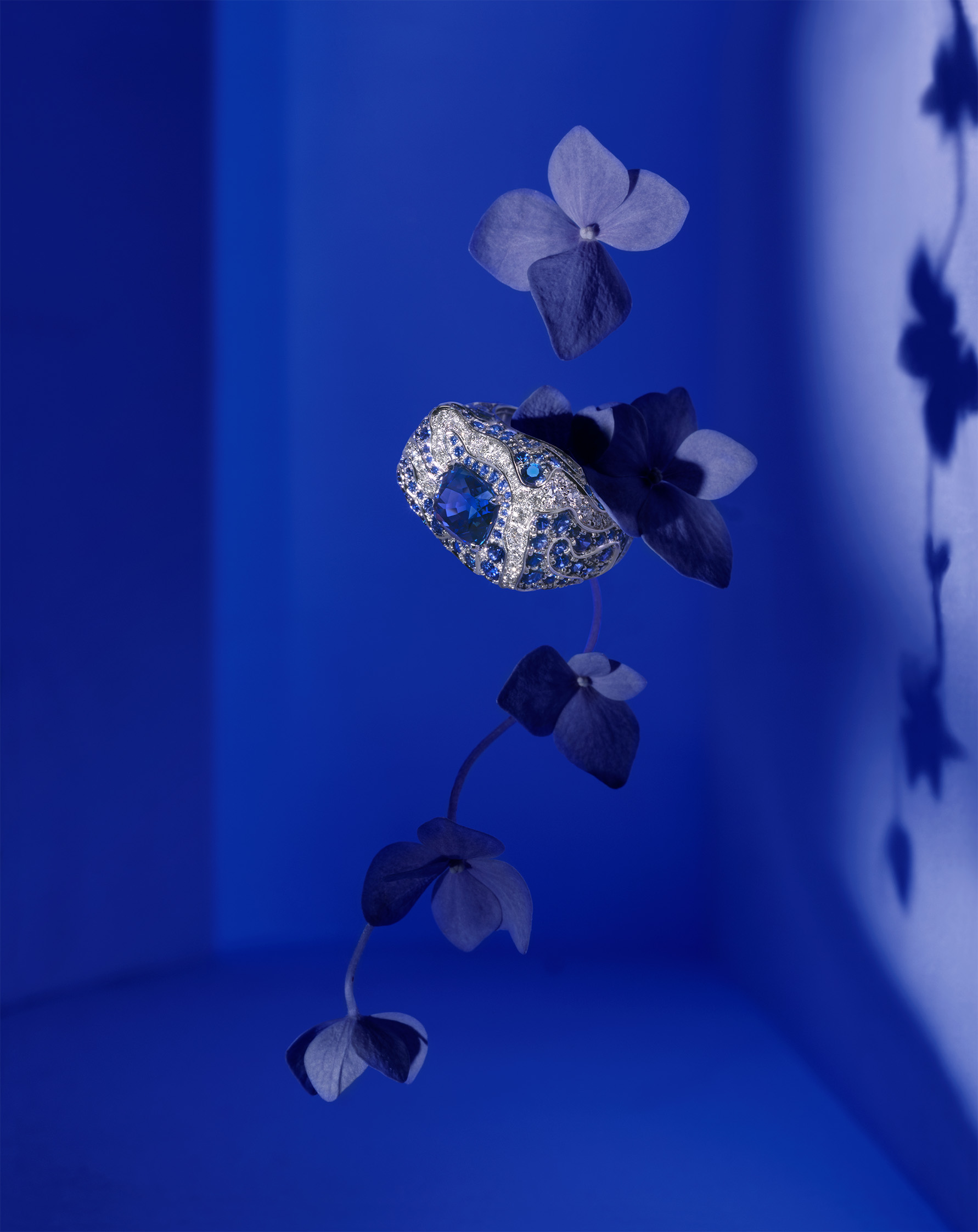 Piaget's Metaphoria Collection