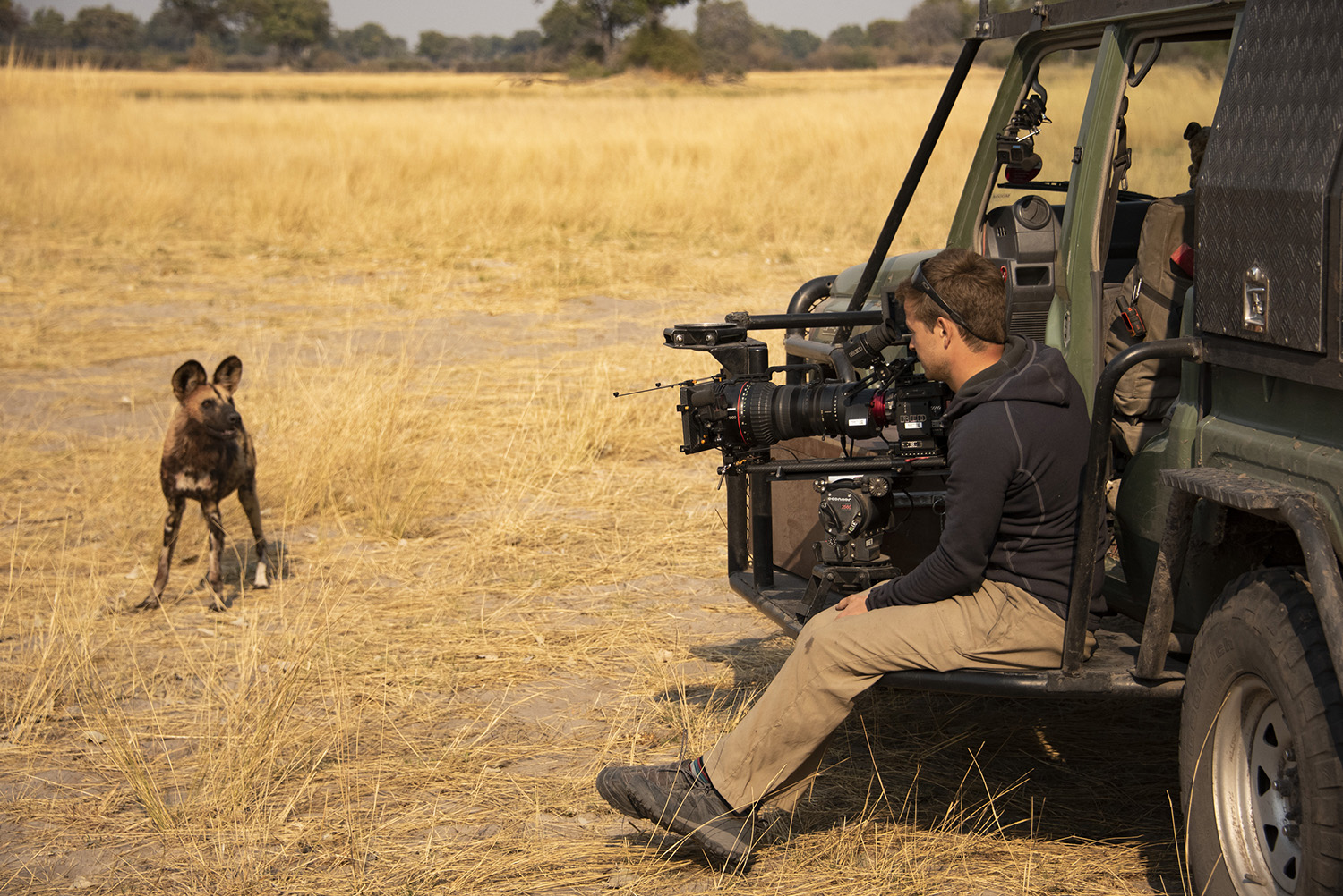Bertie Gregory sitting on the side of the 4-wheel drive, filming a Wild dog looking at him.