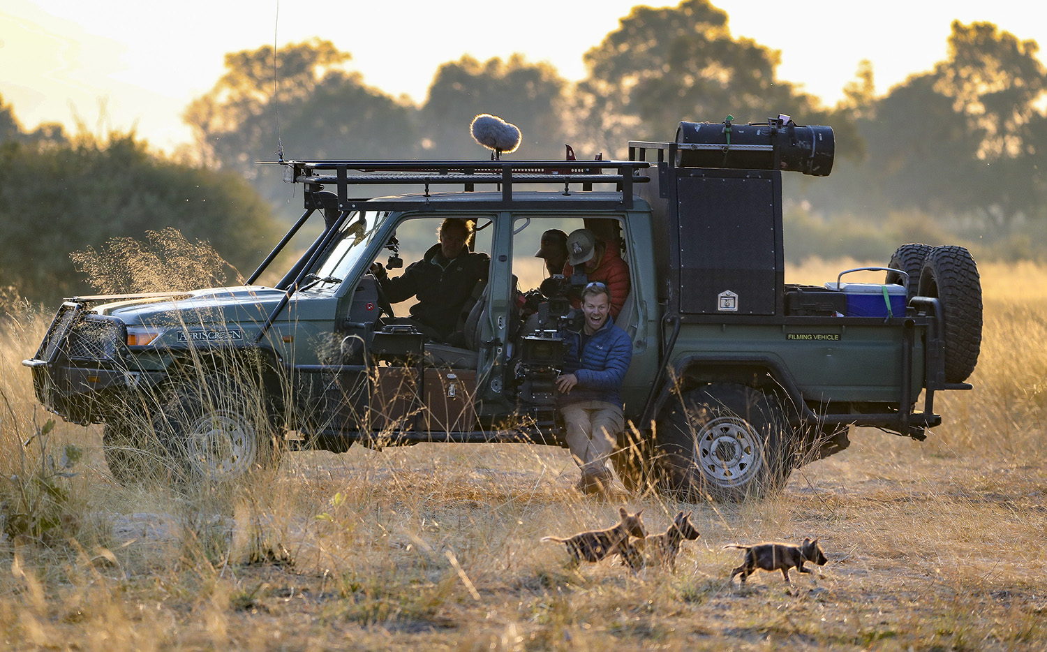 Bertie Gregory sitting on the side of the 4-wheel drive vehicle as three wild dog pups scamper past.