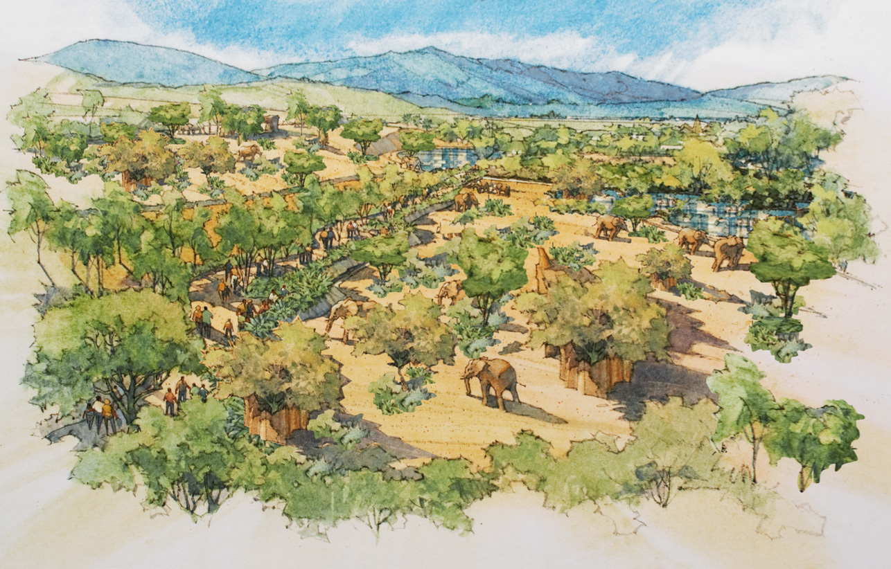 San Diego Zoo Safari Park Unveils Elephant Valley