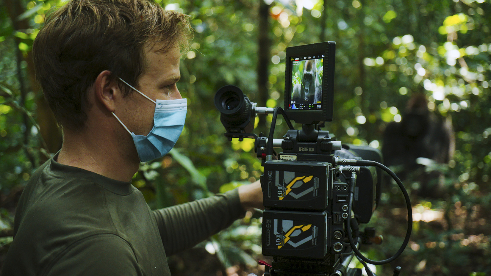 Bertie Gregory filming a gorilla.