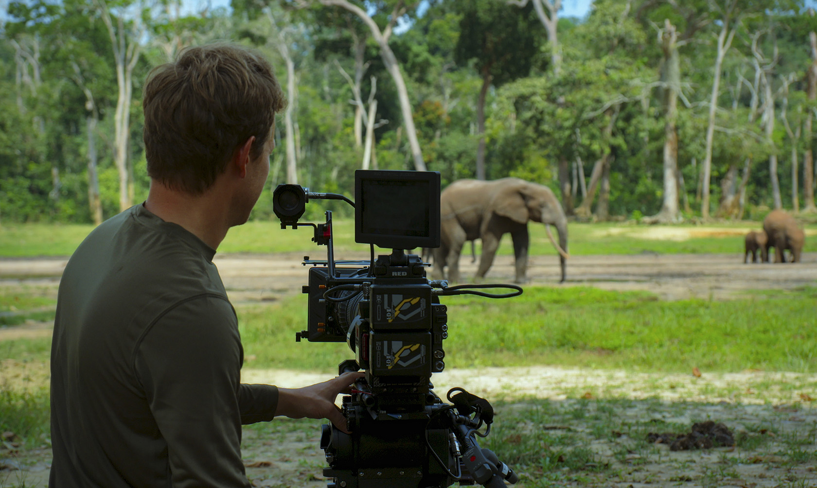 Bertie Gregory filming elephants.