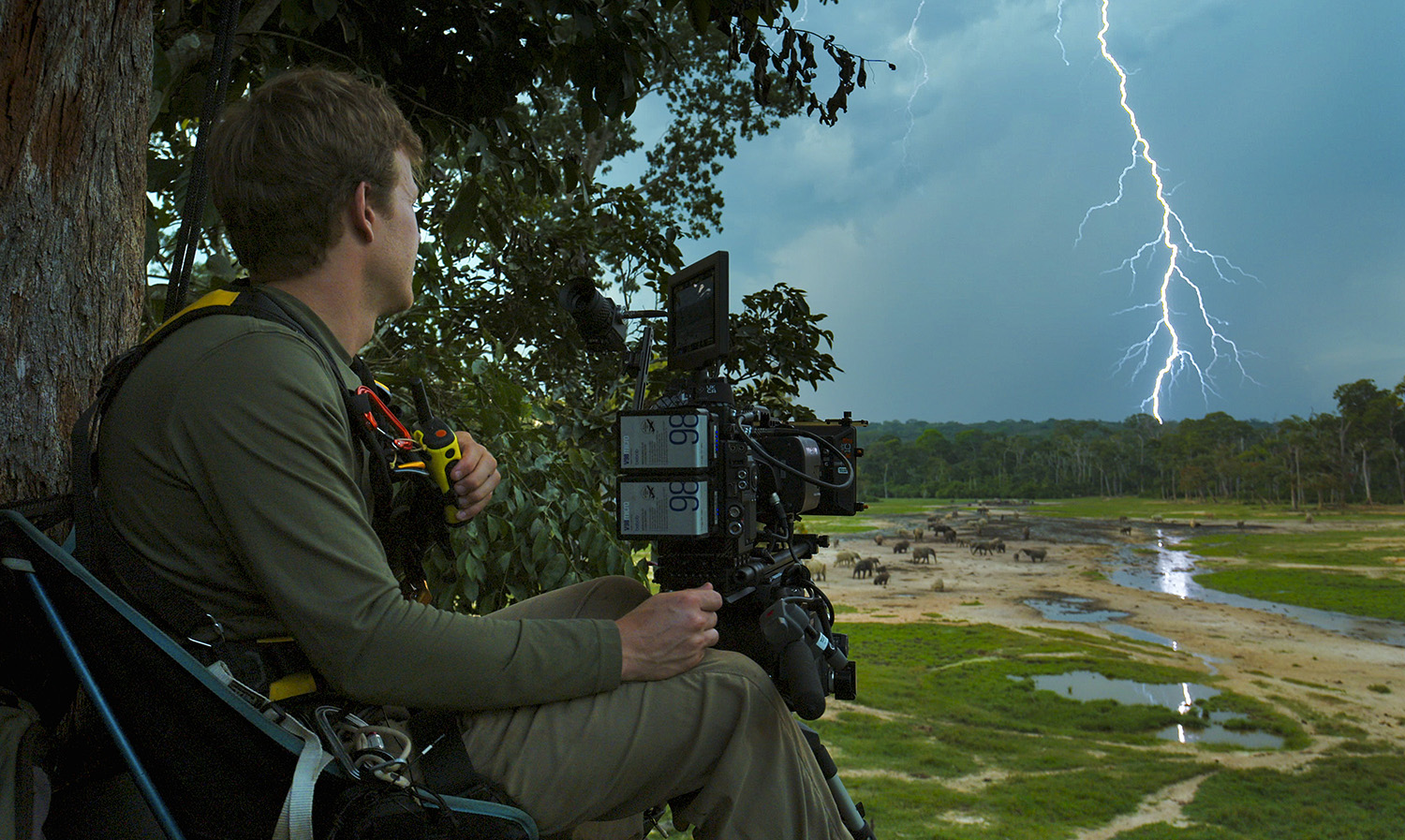 Bertie Gregory sitting up a tree watching the electrical storm.