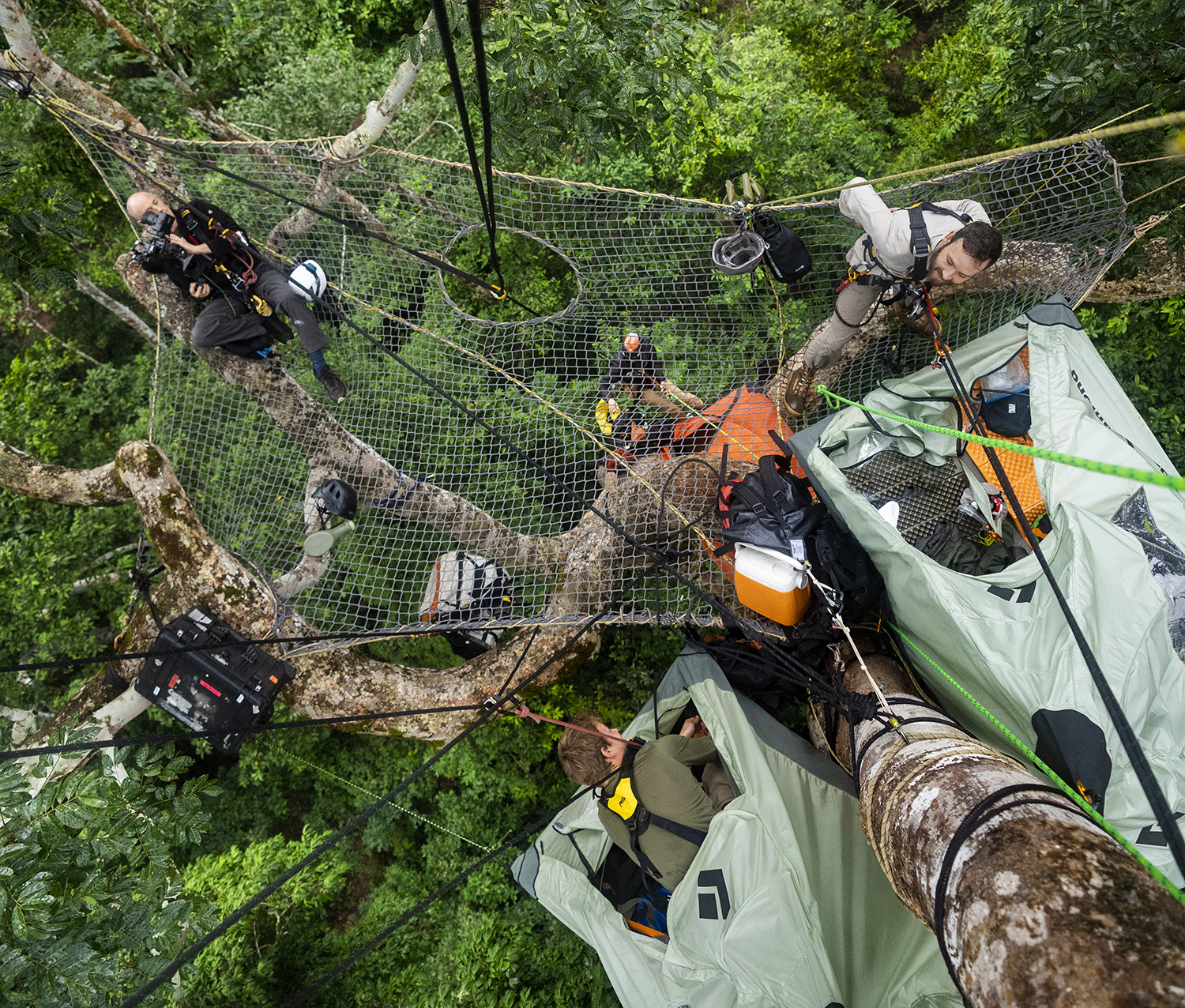 Mark McClean lying on the canopy netting while filming.