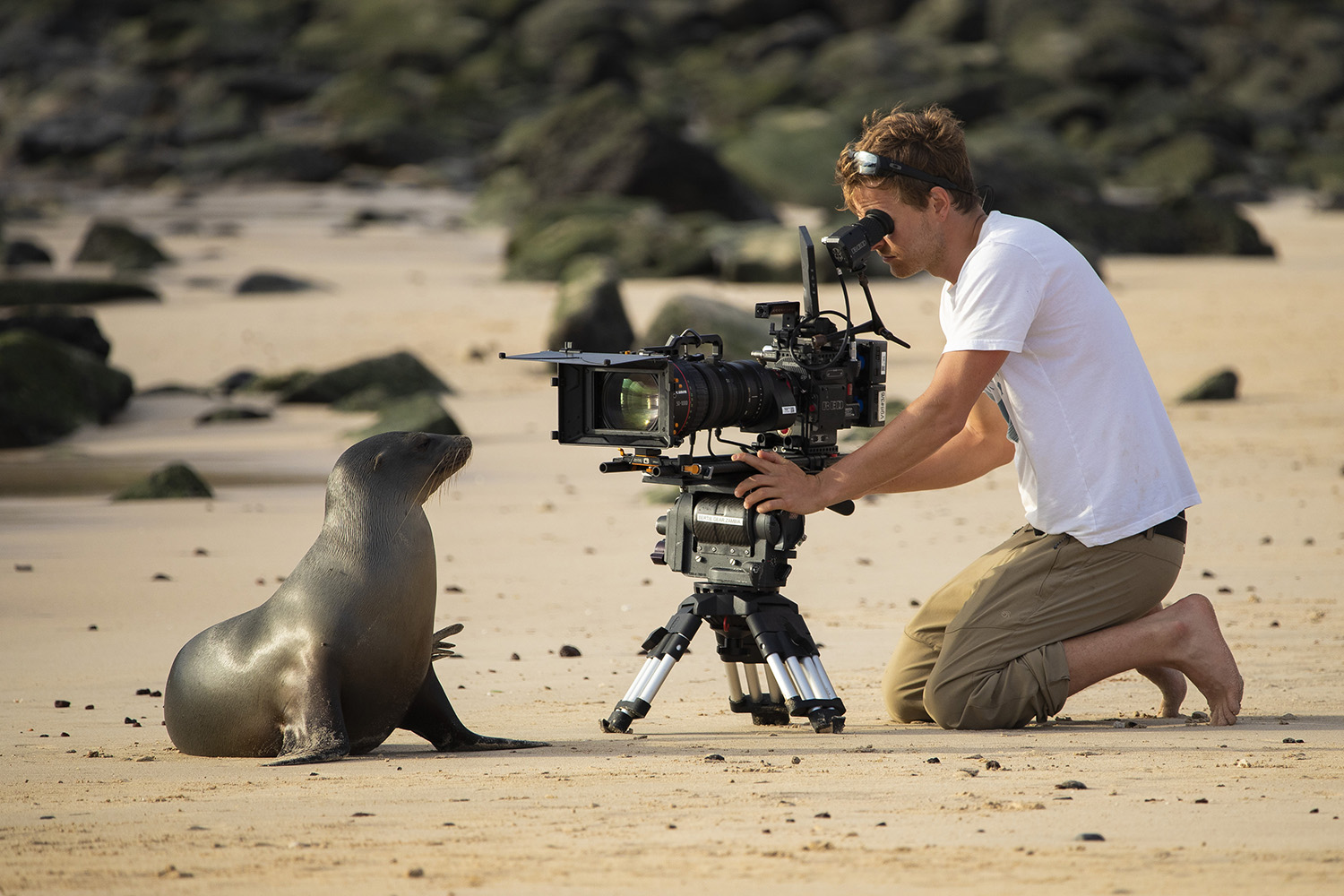 Bertie Gregory filming a seal.