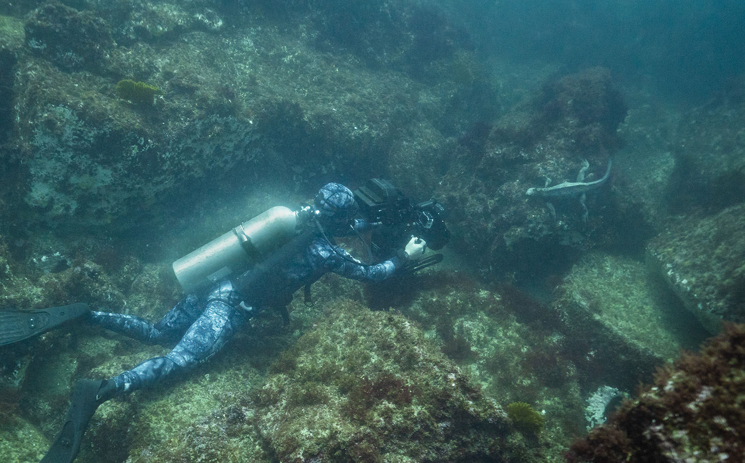 Bertie Gregory filming Marine Iguana underwater.