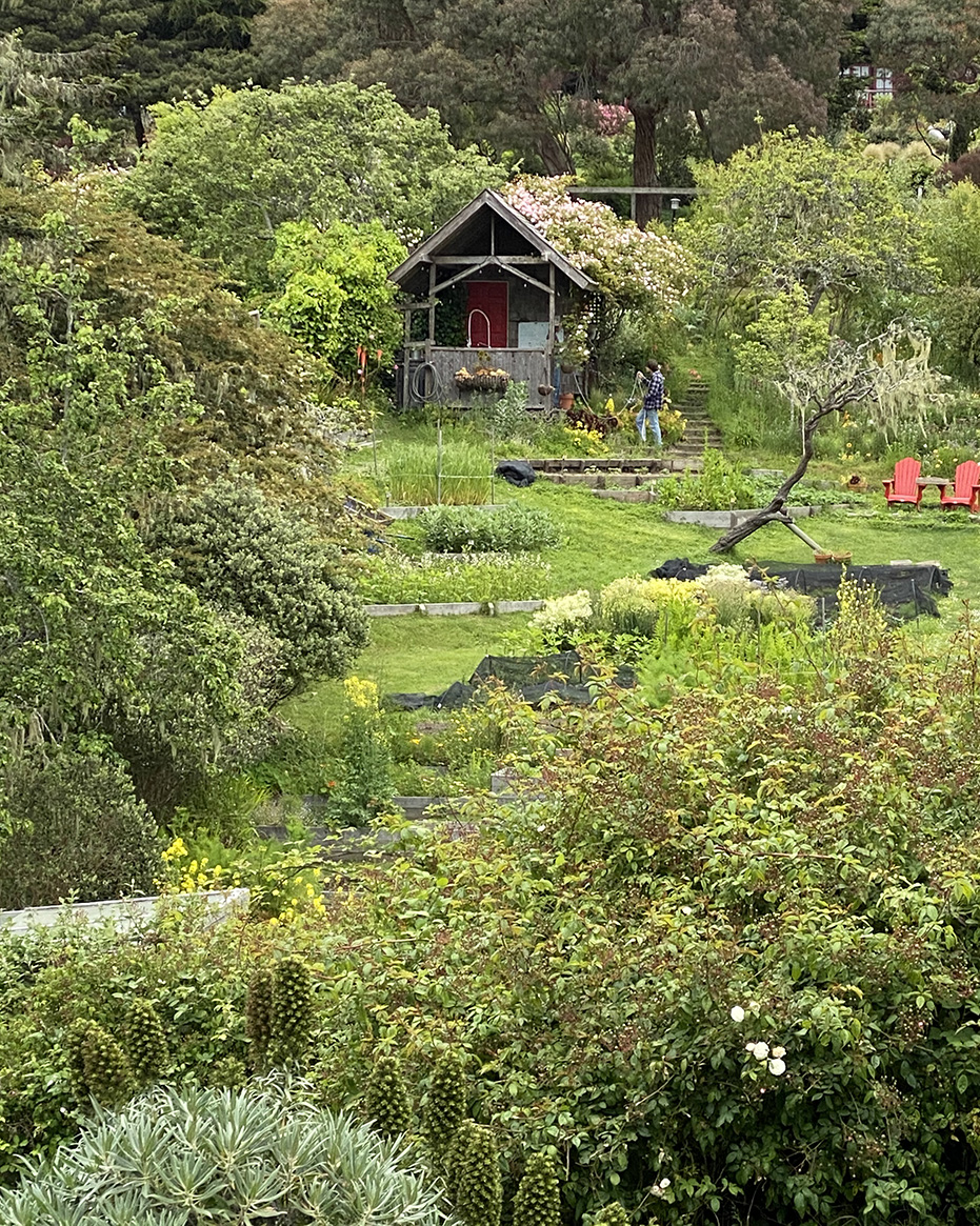 Garden Shed at Stanford Inn & Resort in California