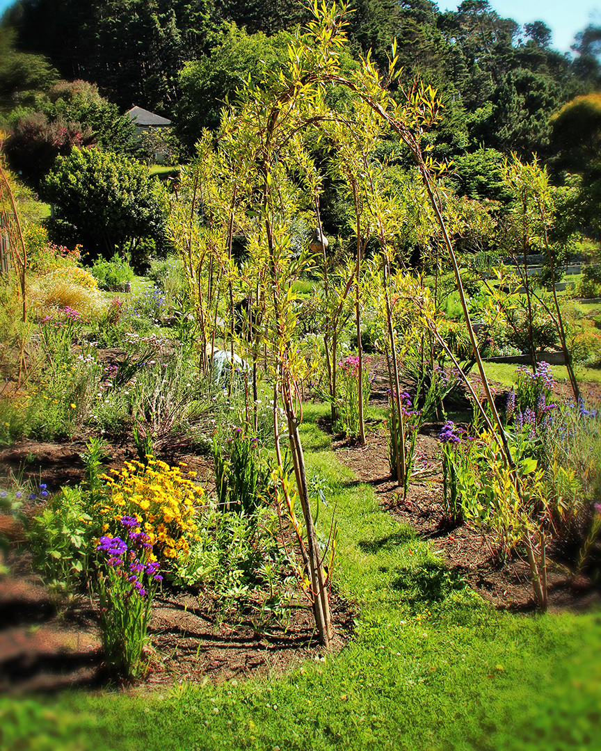 Garden at Stanford Inn & Resort in California