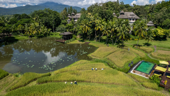 Four Seasons Resort Chiang Mai