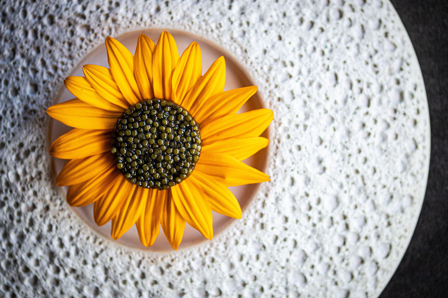 Caviar Sunflower - Luce Restaurant at The InterContinental San Francisco Hotel