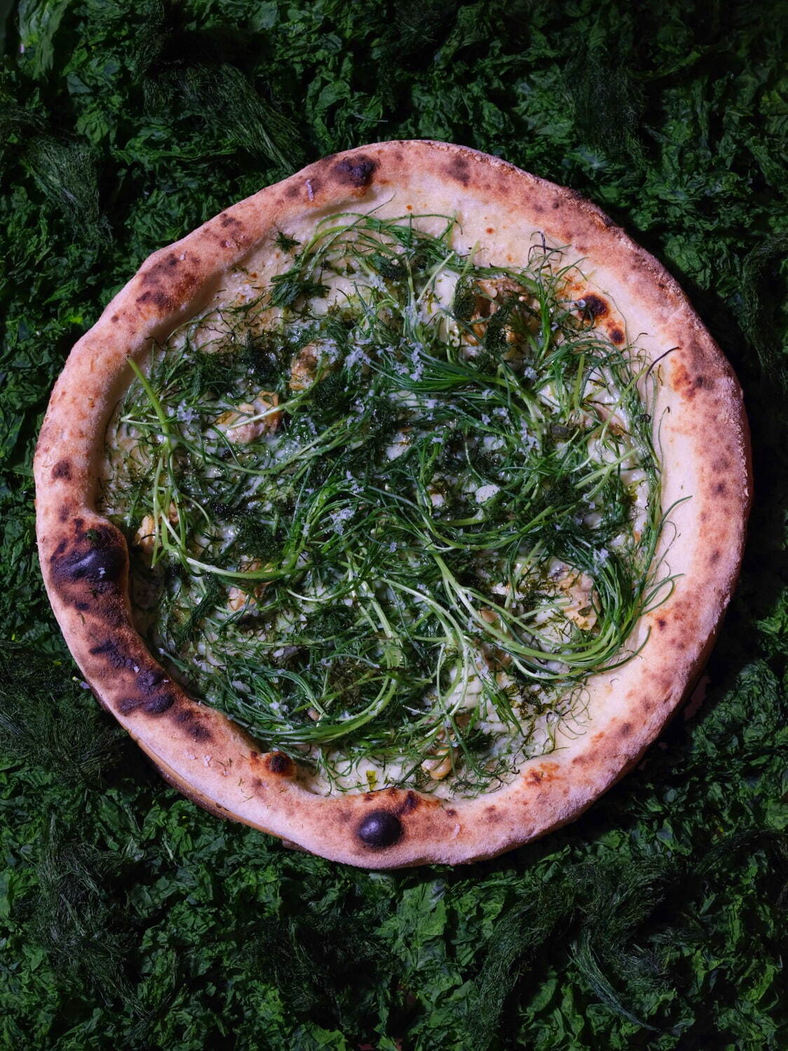 Suji-Aonori and Okahijiki Asari pizza  - Pizza 4P Azabudai Hills in Tokyo